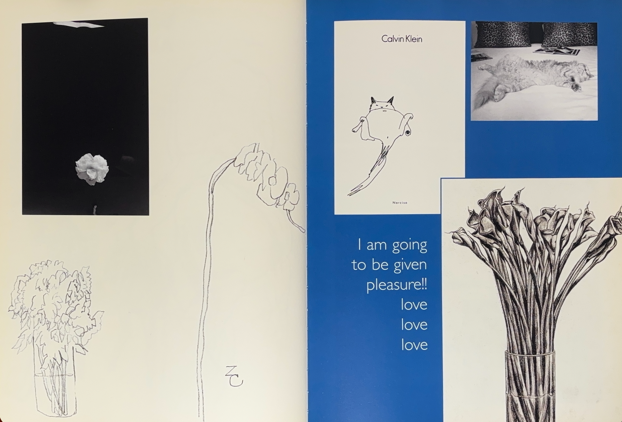 Rare Books Paris - Zack Carr