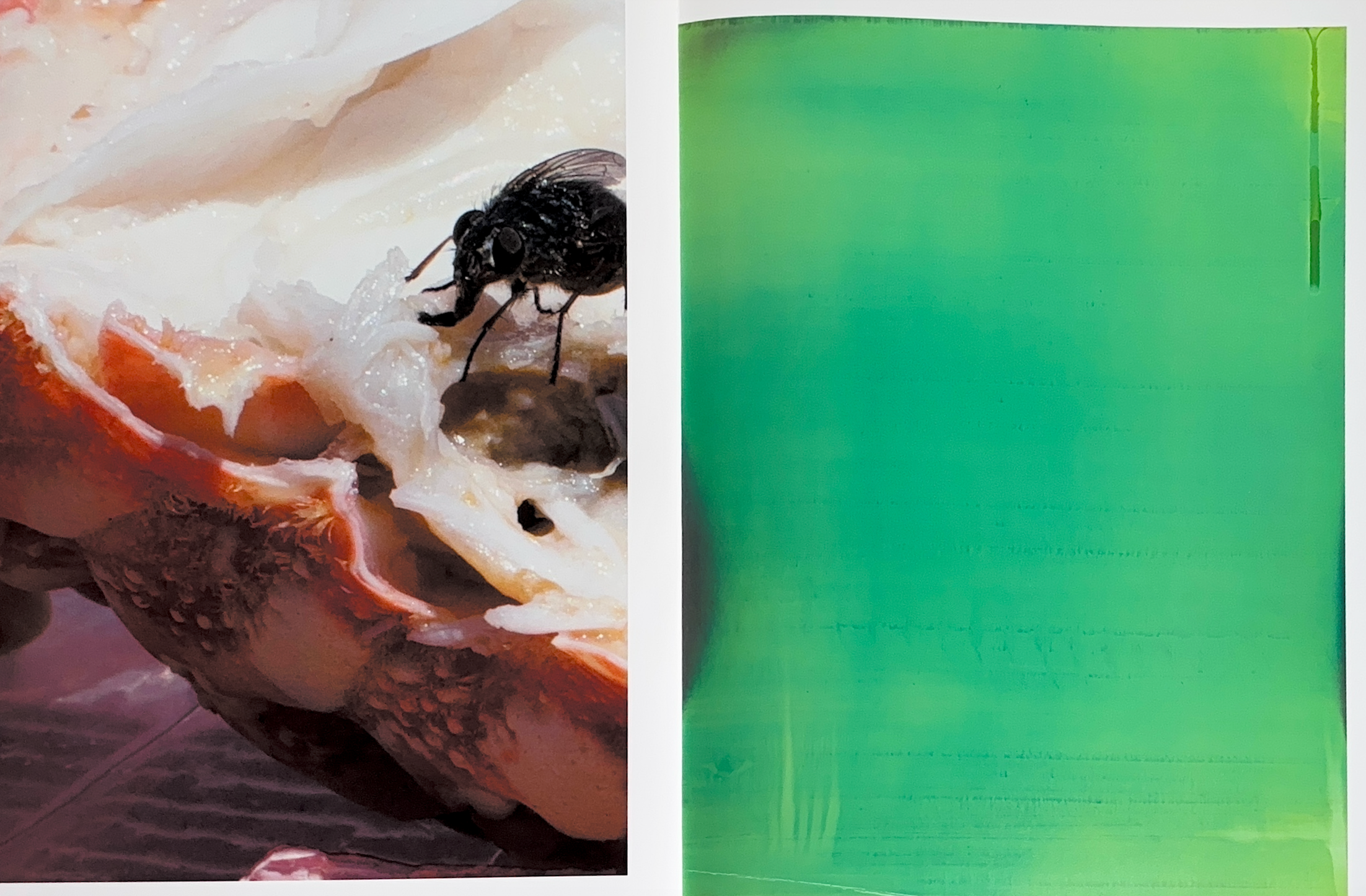 Rare Books Paris - Your Body Is Yours - Wolfgang Tillmans Rare Books Paris - Your Body Is Yours - Wolfgang Tillmans