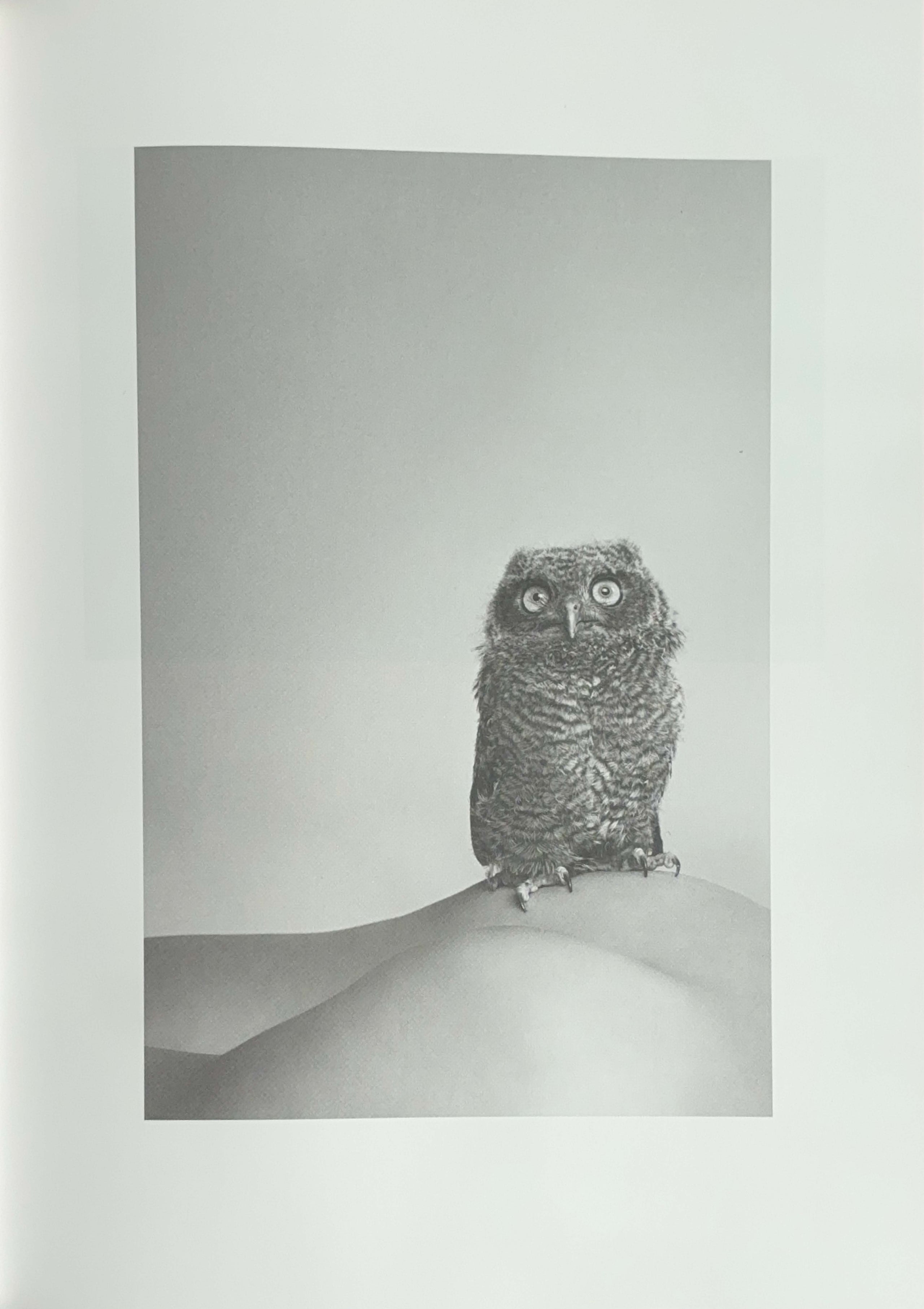 Ryan McGinley Life Adjustment Center