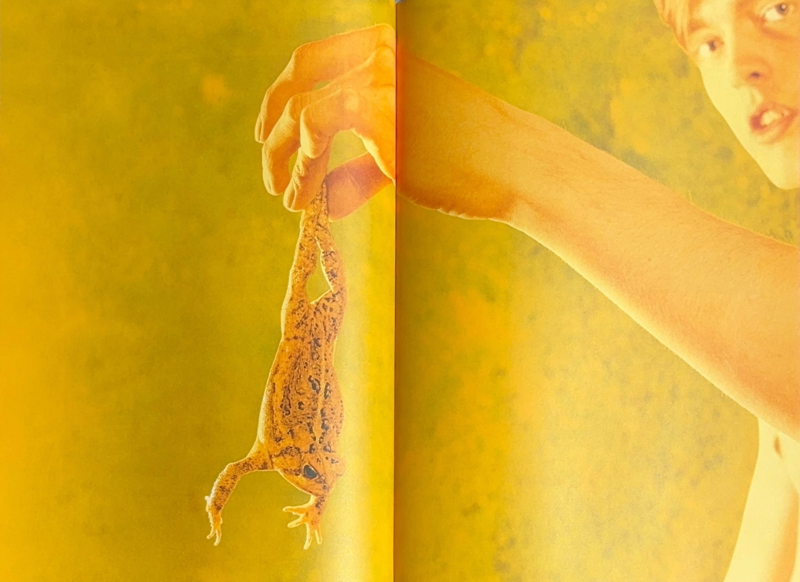 Ryan McGinley Life Adjustment Center