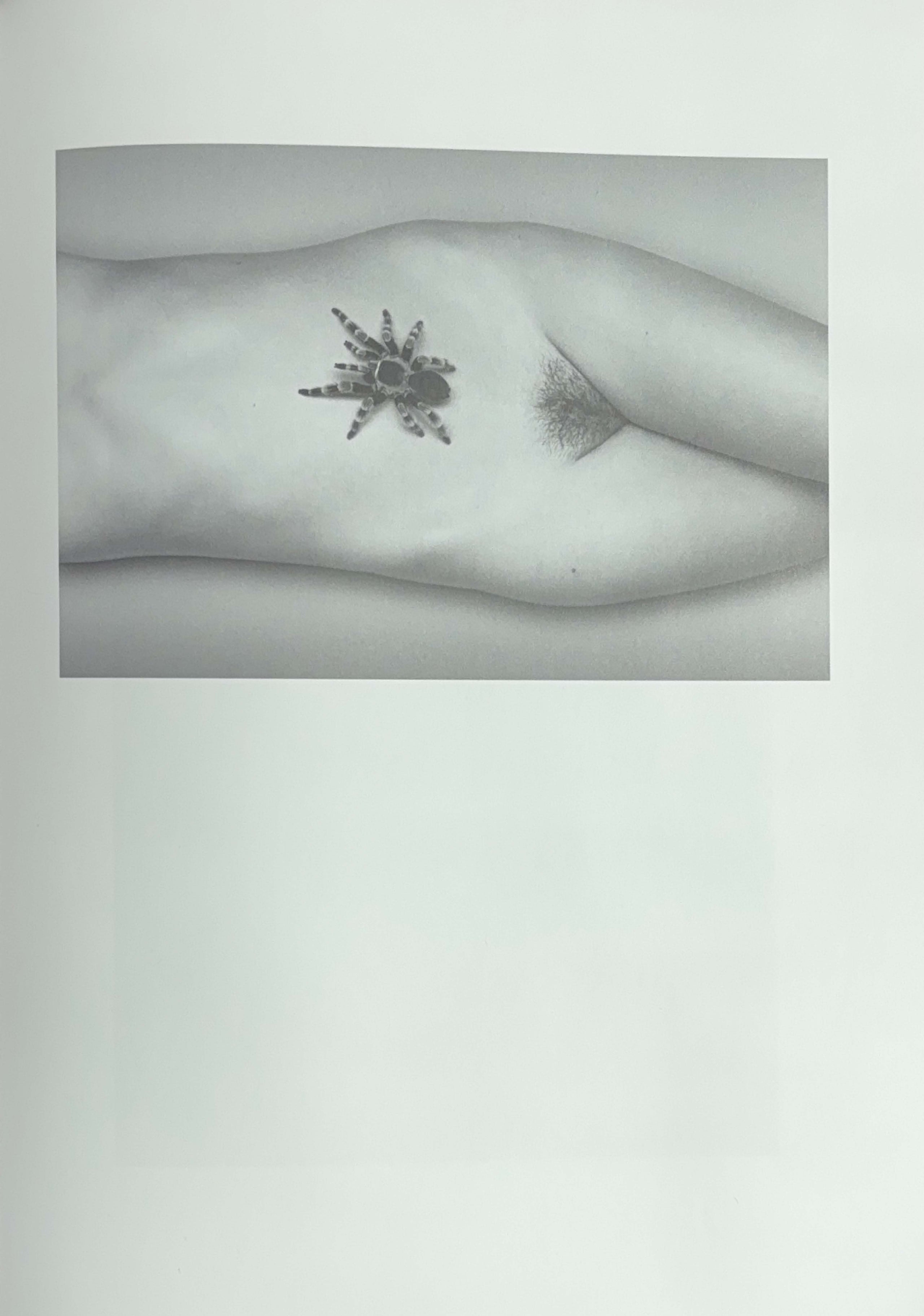 Ryan McGinley Life Adjustment Center